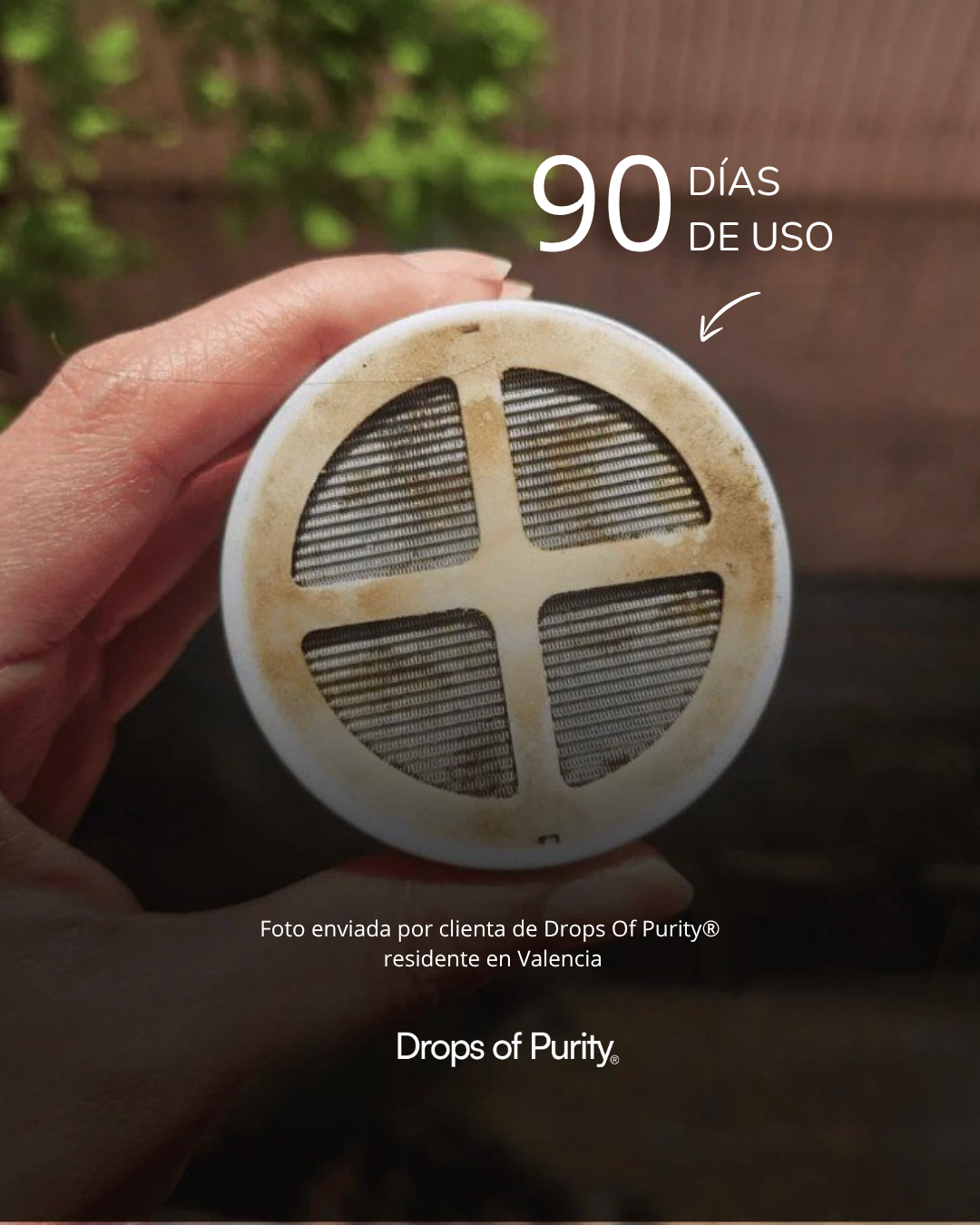 CABEZAL DUCHA DoP® RAIN